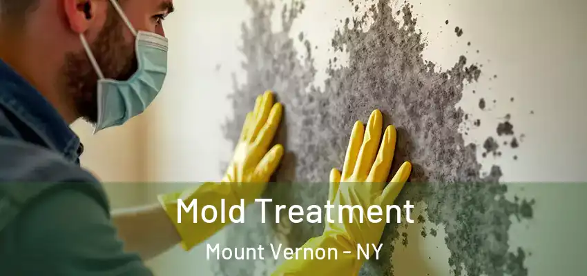 Mold Treatment Mount Vernon - NY
