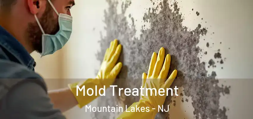 Mold Treatment Mountain Lakes - NJ