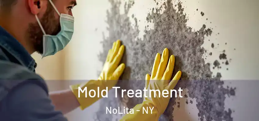  Mold Treatment NoLita - NY