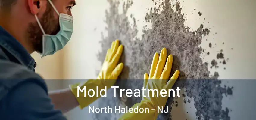 Mold Treatment North Haledon - NJ