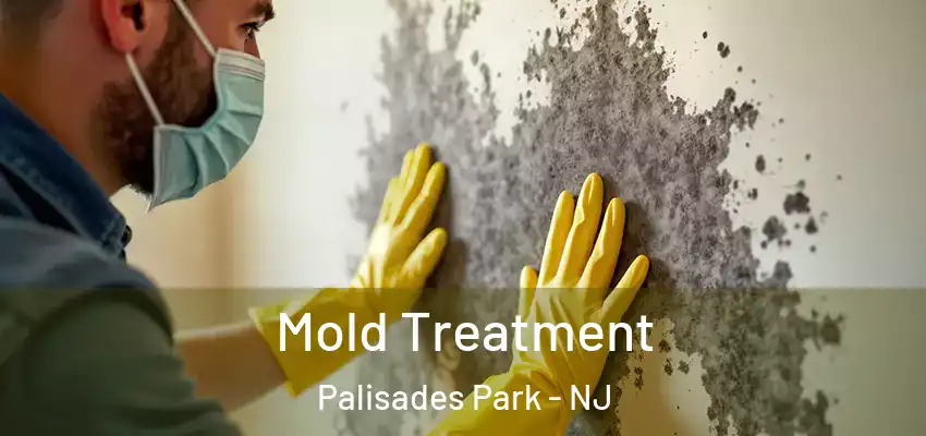 Mold Treatment Palisades Park - NJ