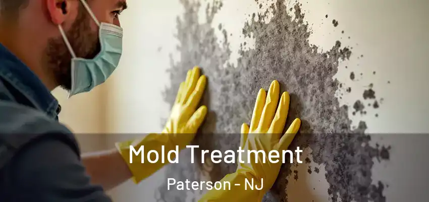  Mold Treatment Paterson - NJ