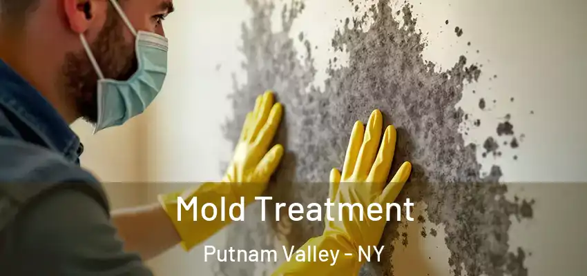  Mold Treatment Putnam Valley - NY
