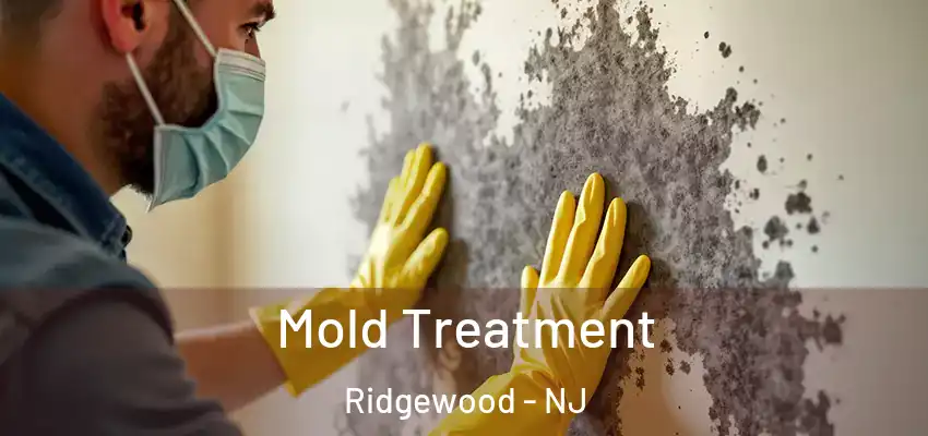 Mold Treatment Ridgewood - NJ
