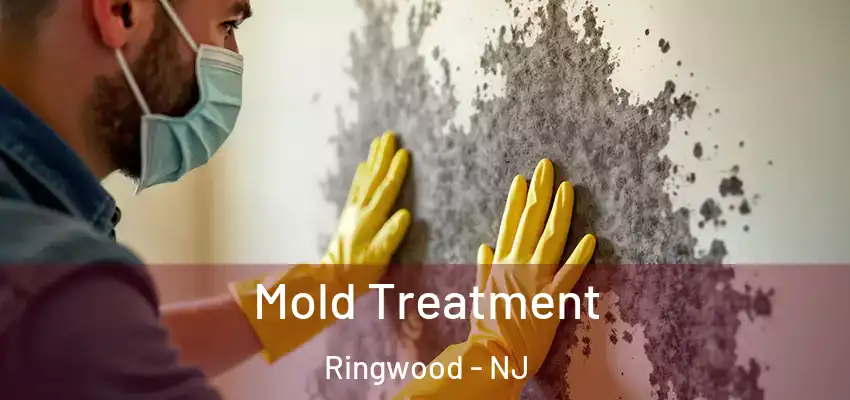 Mold Treatment Ringwood - NJ