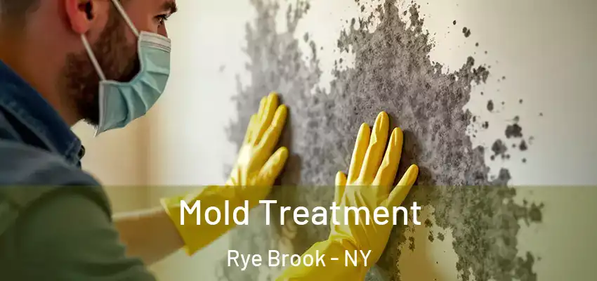  Mold Treatment Rye Brook - NY