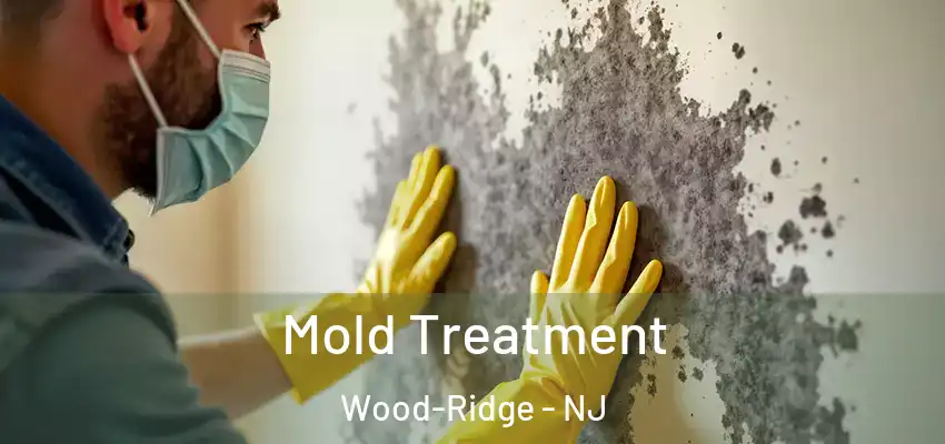 Mold Treatment Wood-Ridge - NJ