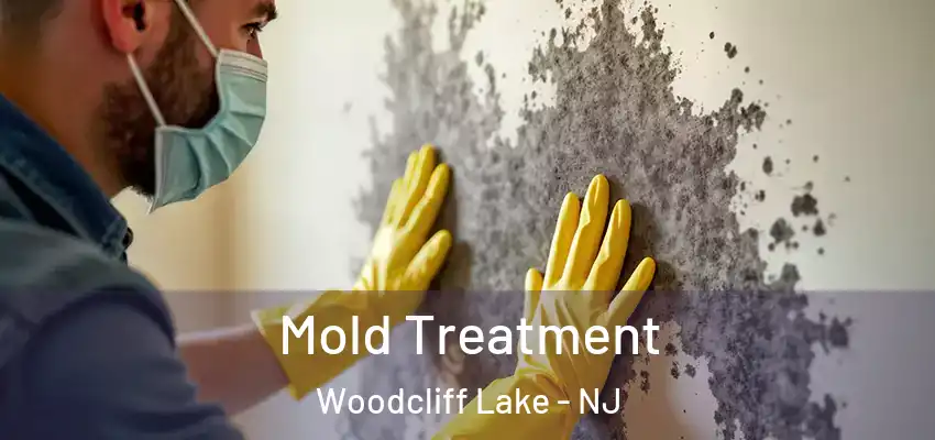 Mold Treatment Woodcliff Lake - NJ