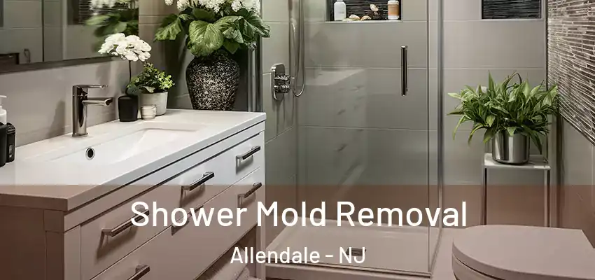 Shower Mold Removal Allendale - NJ