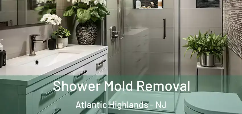 Shower Mold Removal Atlantic Highlands - NJ