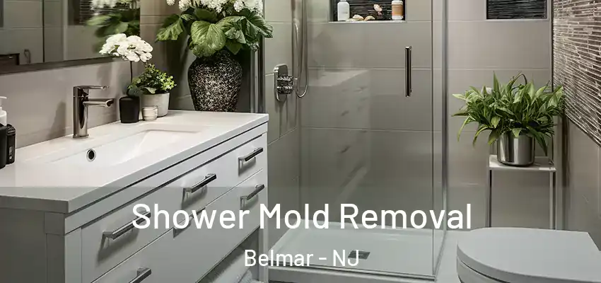 Shower Mold Removal Belmar - NJ