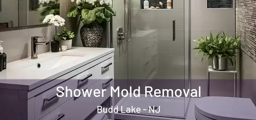 Shower Mold Removal Budd Lake - NJ