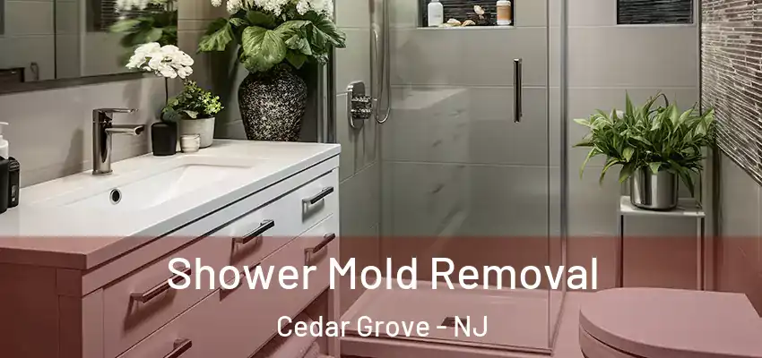  Shower Mold Removal Cedar Grove - NJ
