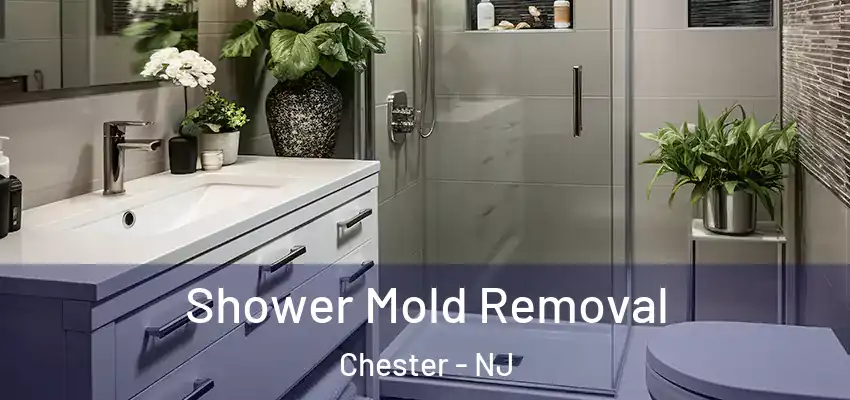 Shower Mold Removal Chester - NJ