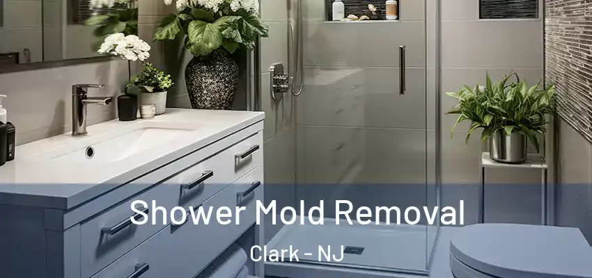  Shower Mold Removal Clark - NJ