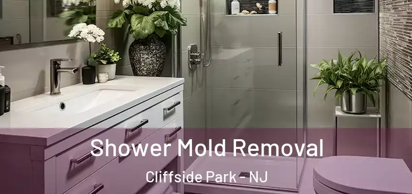  Shower Mold Removal Cliffside Park - NJ