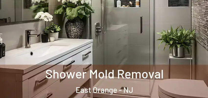 Shower Mold Removal East Orange - NJ