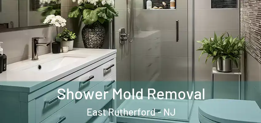  Shower Mold Removal East Rutherford - NJ