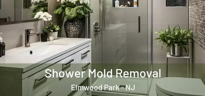  Shower Mold Removal Elmwood Park - NJ