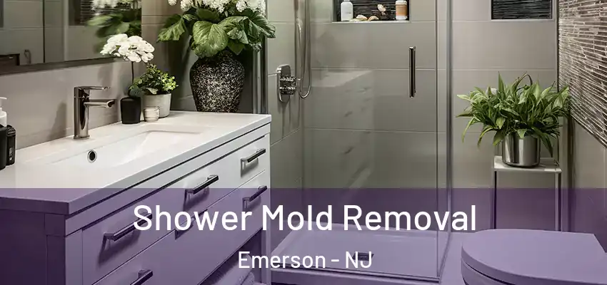 Shower Mold Removal Emerson - NJ