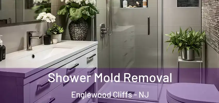 Shower Mold Removal Englewood Cliffs - NJ