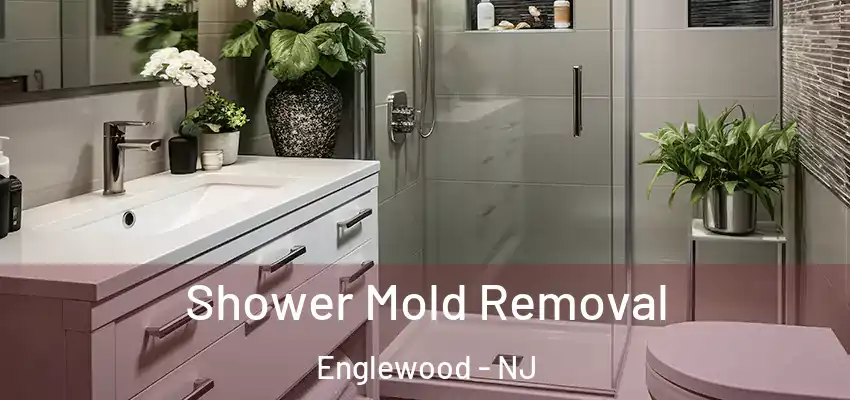 Shower Mold Removal Englewood - NJ