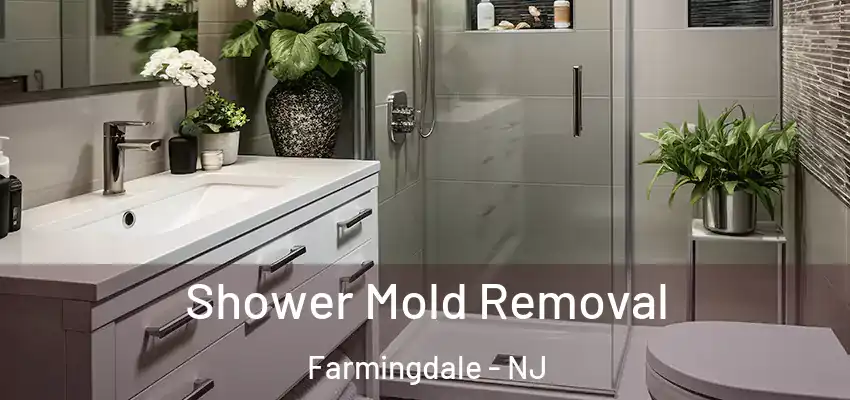  Shower Mold Removal Farmingdale - NJ