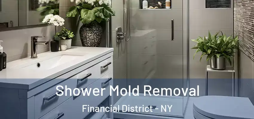 Shower Mold Removal Financial District - NY