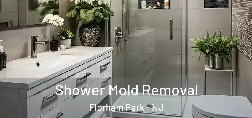 Shower Mold Removal Florham Park - NJ