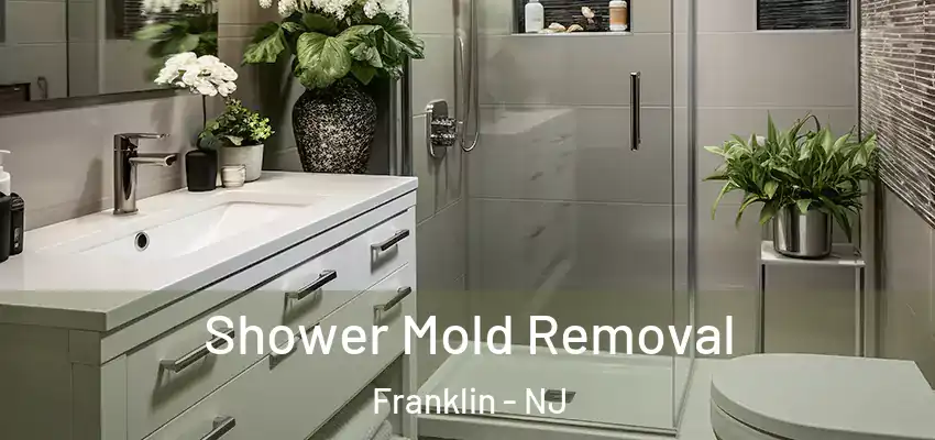  Shower Mold Removal Franklin - NJ