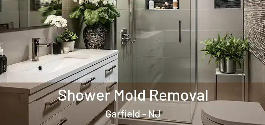 Shower Mold Removal Garfield - NJ