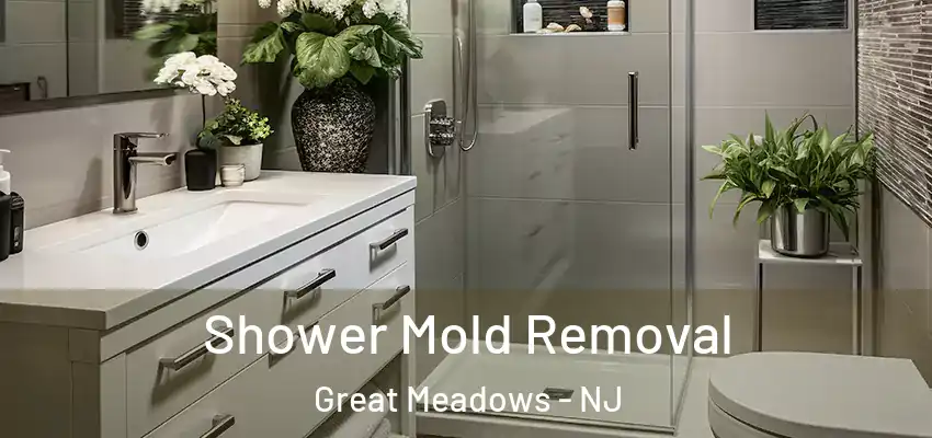 Shower Mold Removal Great Meadows - NJ