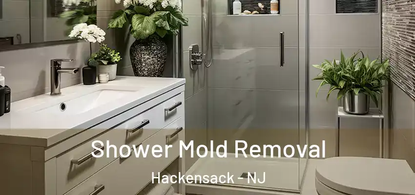 Shower Mold Removal Hackensack - NJ