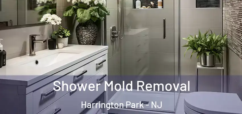 Shower Mold Removal Harrington Park - NJ