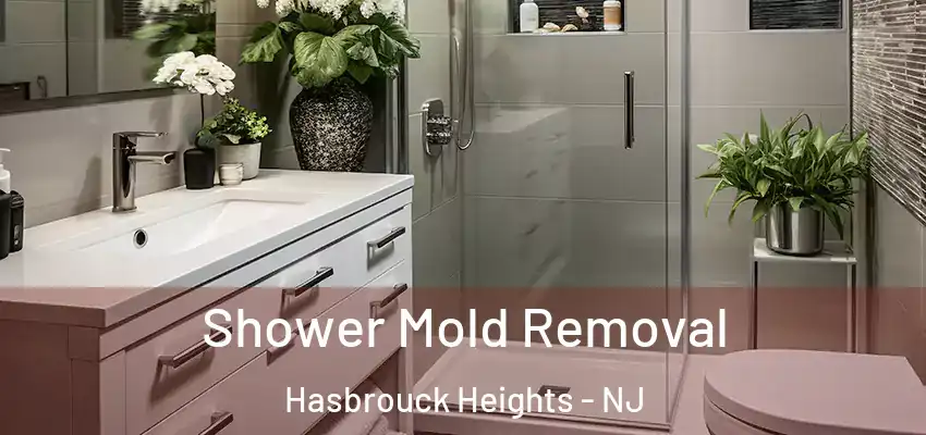  Shower Mold Removal Hasbrouck Heights - NJ