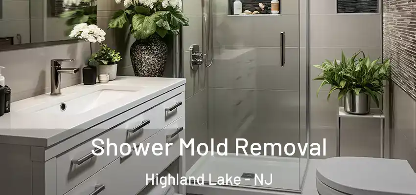 Shower Mold Removal Highland Lake - NJ