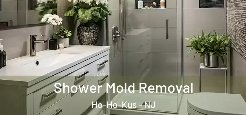 Shower Mold Removal Ho-Ho-Kus - NJ