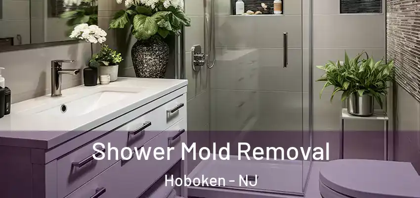 Shower Mold Removal Hoboken - NJ