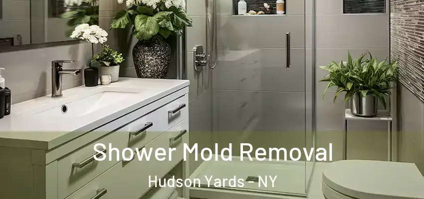  Shower Mold Removal Hudson Yards - NY