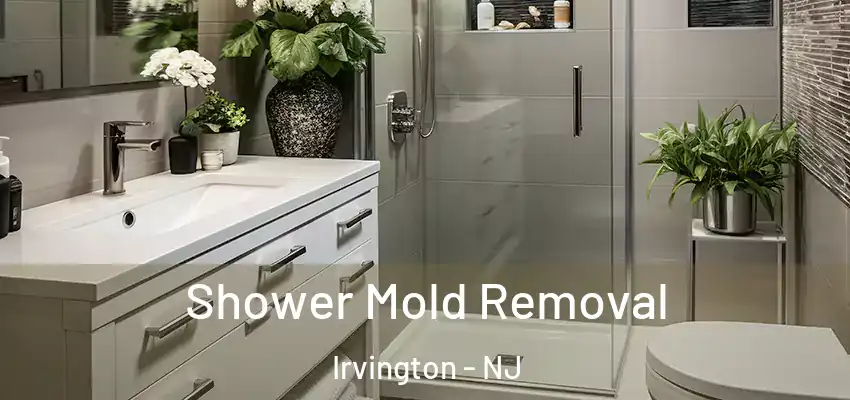 Shower Mold Removal Irvington - NJ