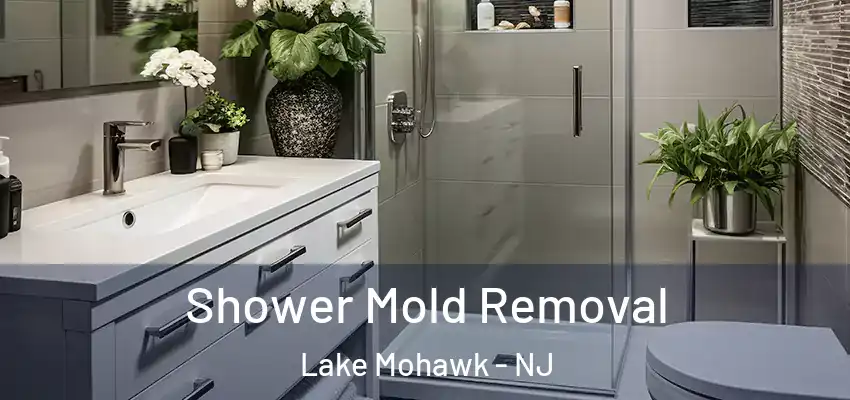  Shower Mold Removal Lake Mohawk - NJ