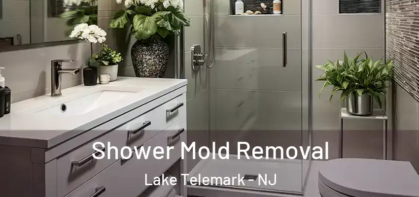 Shower Mold Removal Lake Telemark - NJ