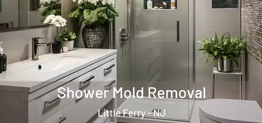 Shower Mold Removal Little Ferry - NJ