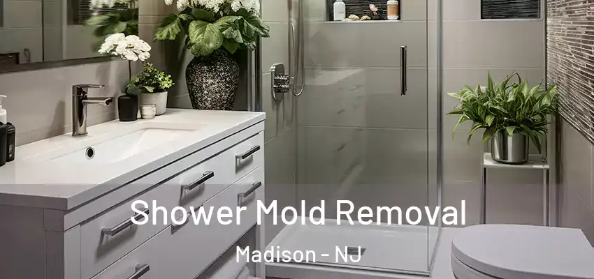 Shower Mold Removal Madison - NJ