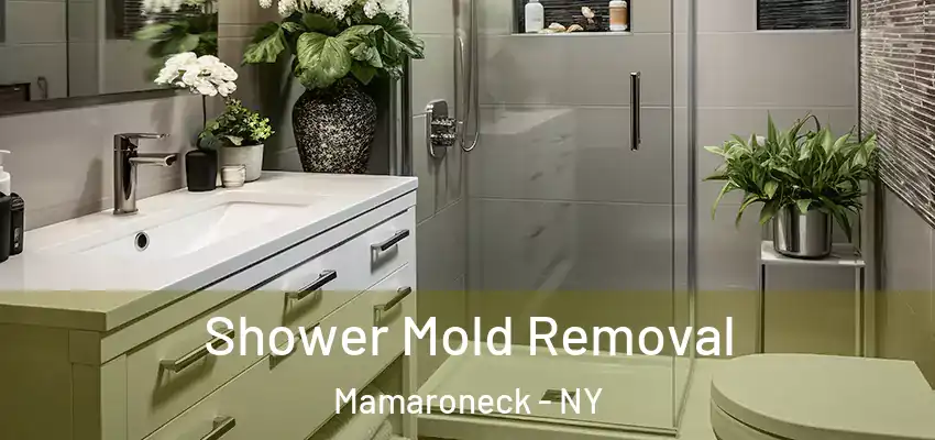  Shower Mold Removal Mamaroneck - NY
