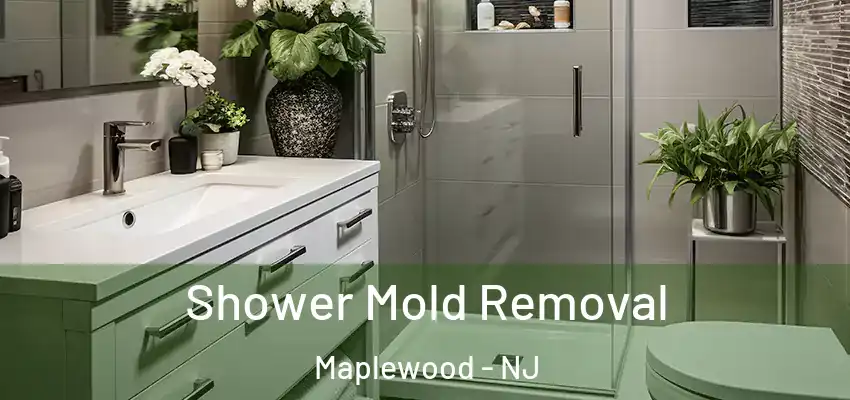 Shower Mold Removal Maplewood - NJ