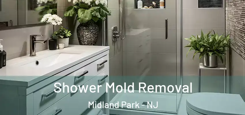 Shower Mold Removal Midland Park - NJ