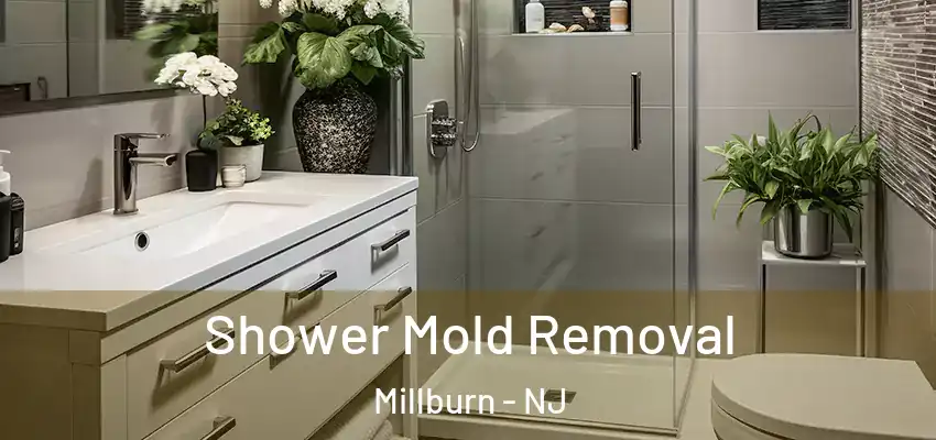  Shower Mold Removal Millburn - NJ