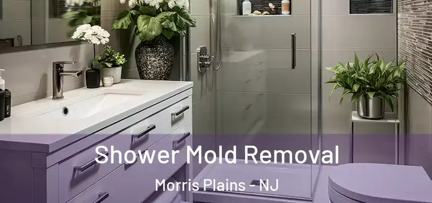 Shower Mold Removal Morris Plains - NJ