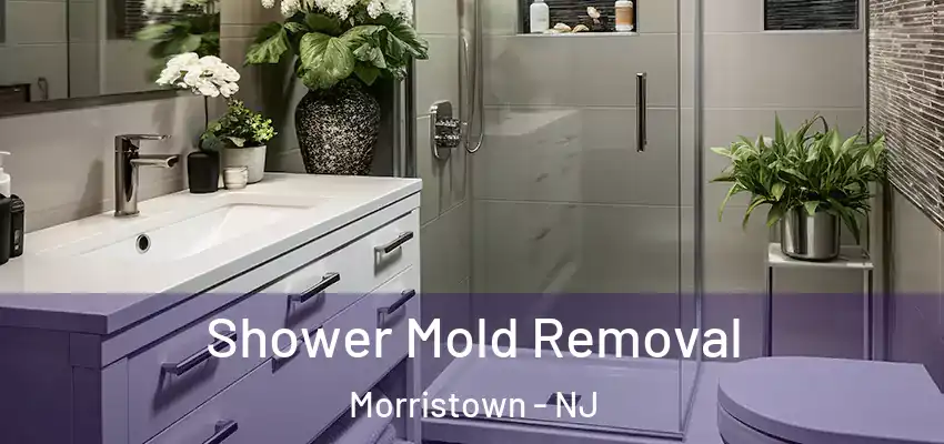  Shower Mold Removal Morristown - NJ